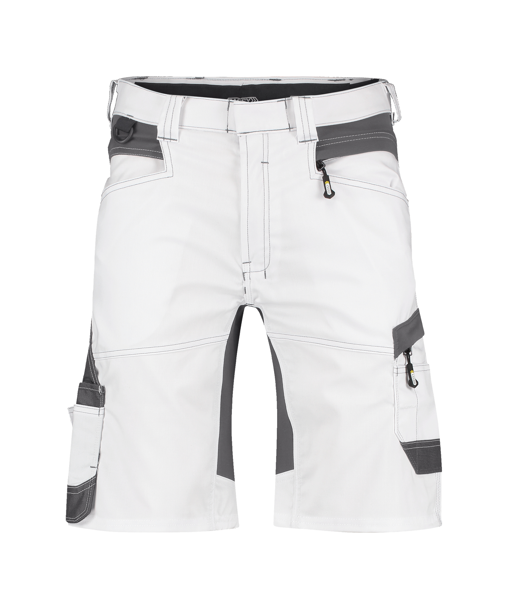 DASSY Axis Painters Painter shorts with stretch
